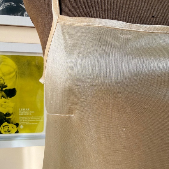 Vintage Champaign Satin Mini Slip Dress – Y2K Lace Ruffle Coquette - Picture 4 of 8